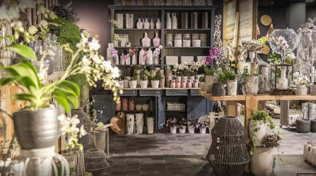 La Boutique de Fleurs : Livraison fleurs plantes mariage‎ fleurs de saison